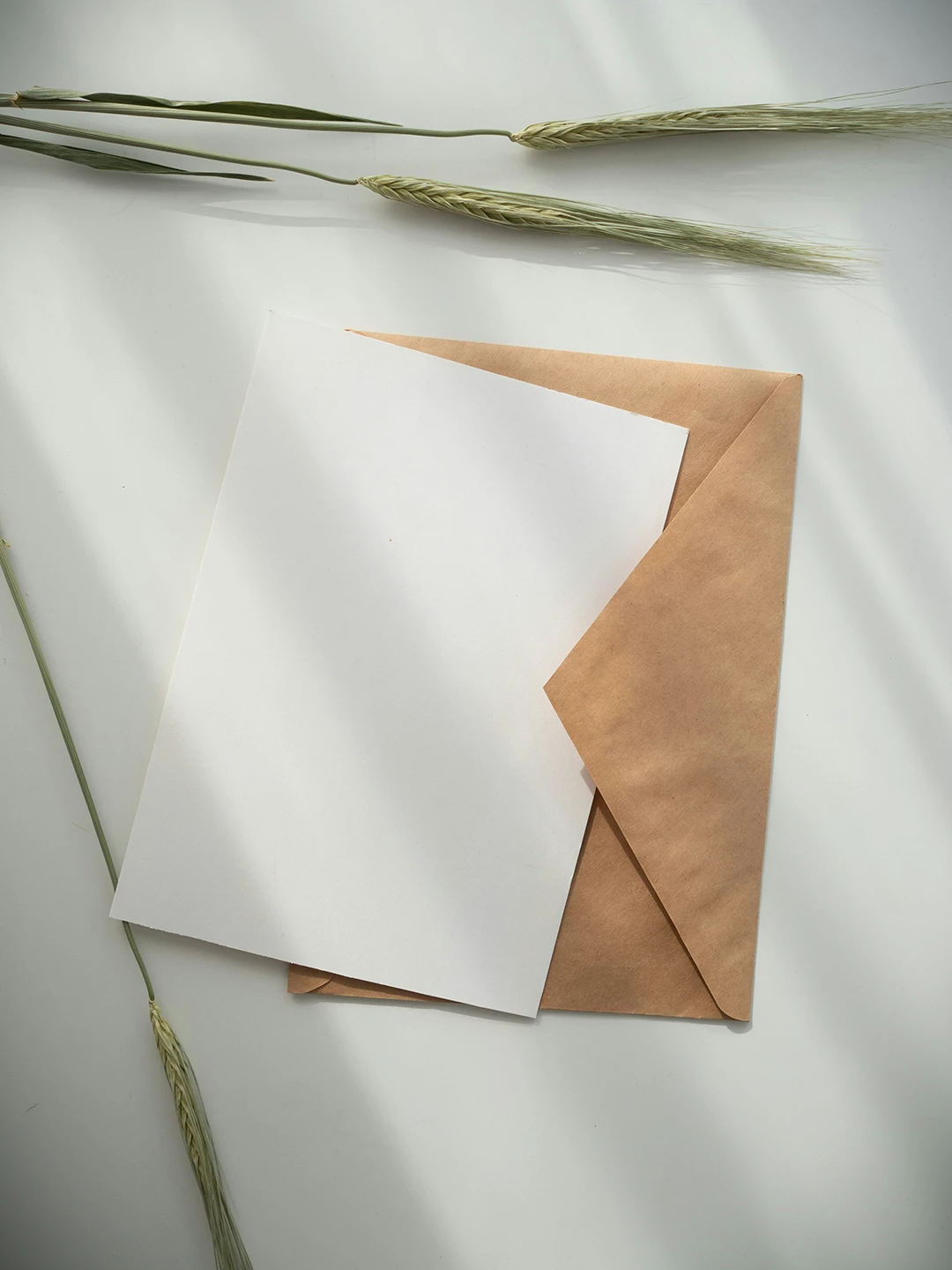 Dettaglio Contatti Agapais