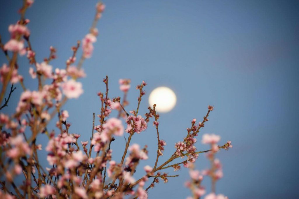 Luna simbolo dell'anima nella poesia di Lalla
