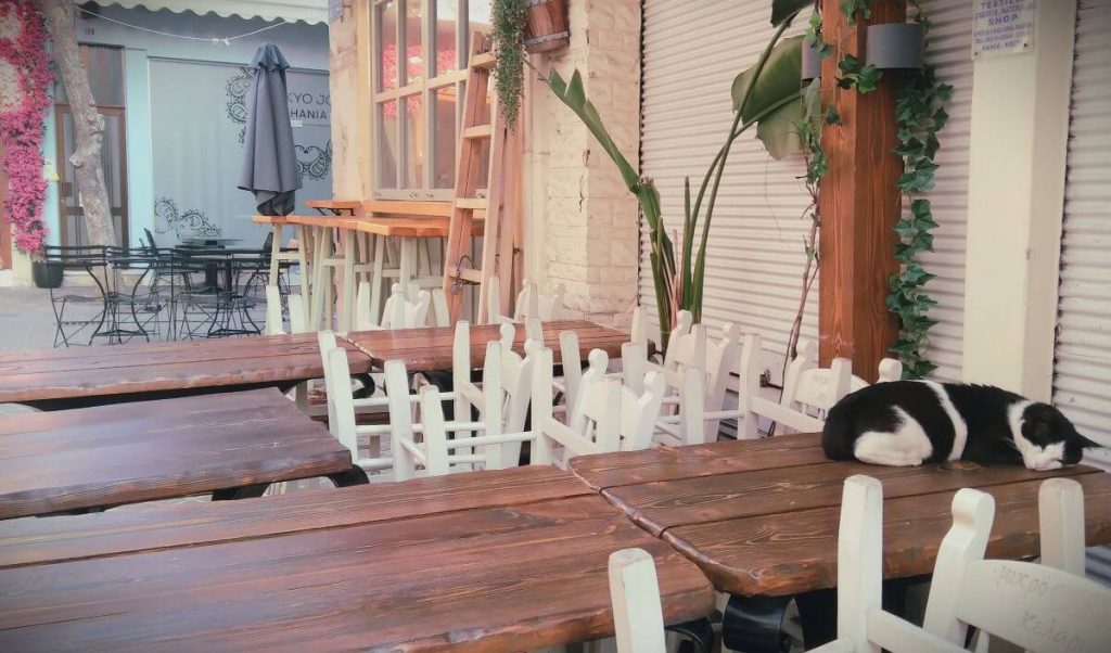 Vicoli fioriti di Chania e gatto al mattino, Creta