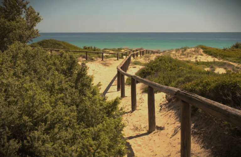 sentiero che conduce al mare, colori blu del mediterraneo