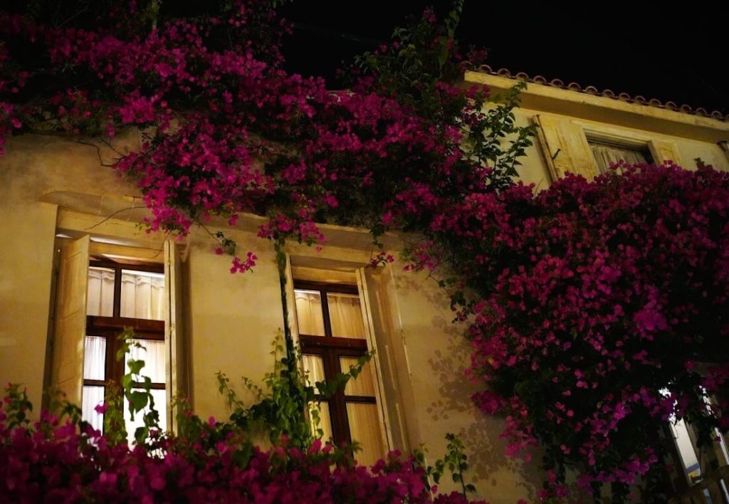 Finestra illuminata di sera con cascata di bouganville viola, centro storico di Rethymno.