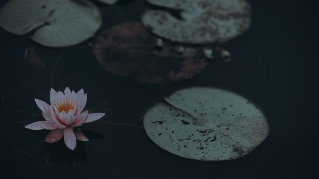 yoga nidra meditazione rilassamento agapais