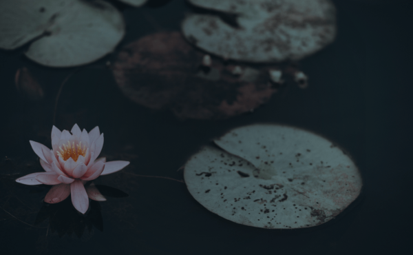 yoga nidra meditazione rilassamento agapais