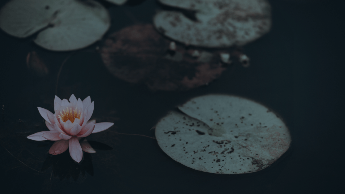 yoga nidra meditazione rilassamento agapais